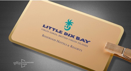 플래티넘 골드카드